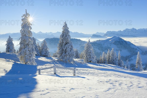 View from the Rigi