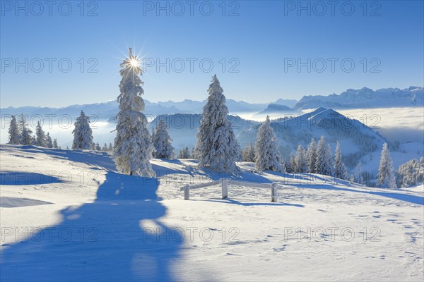 View from the Rigi