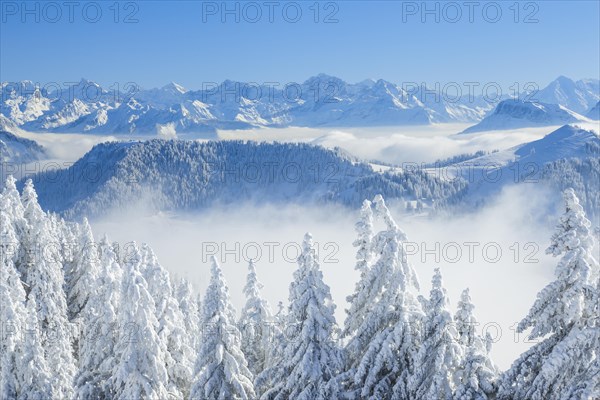 View from the Rigi