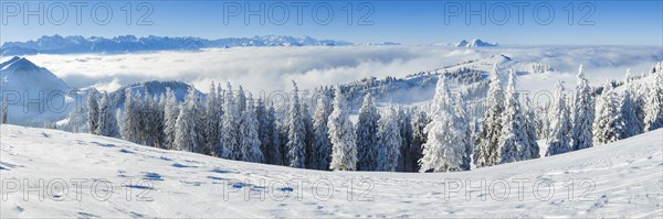 Titlis