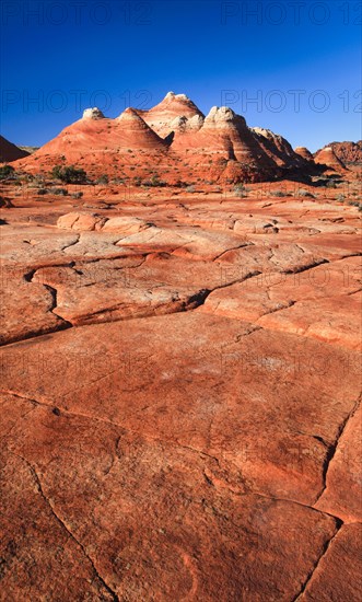 Coyote Buttes North