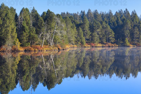 Etang de la Gruere