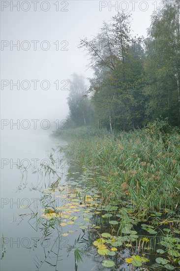 Burgaeschisee