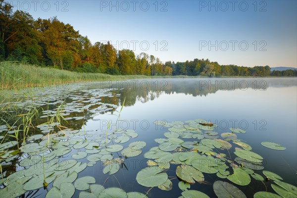 Burgaeschisee