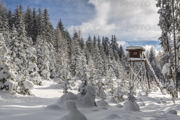 Winter landscape