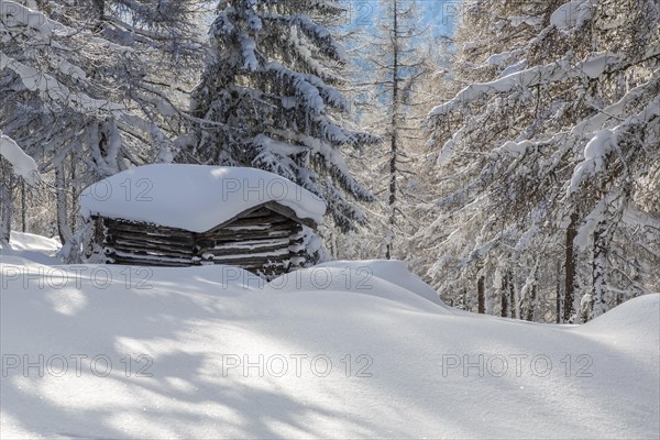 Winter landscape