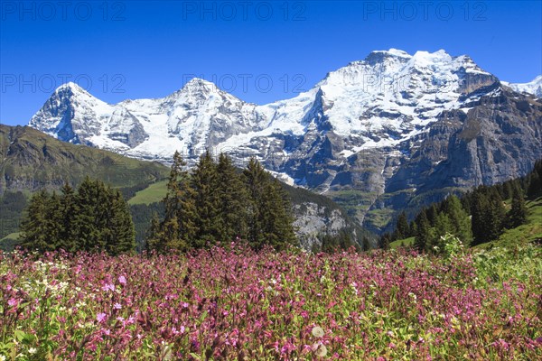 Eiger