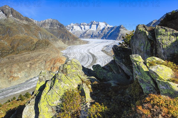 Great Aletsch Glacier and Wannenhorns