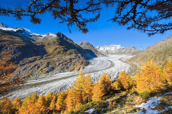Great Aletsch Glacier and Wannenhorns