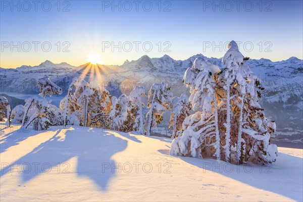 Bernese Alps