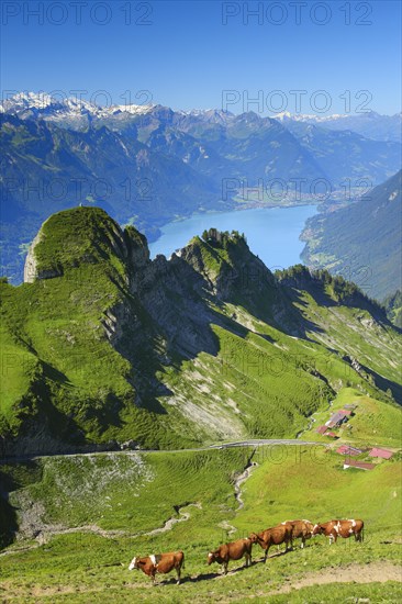 Brienzer Rothorn