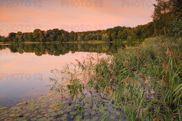 Burgaeschisee