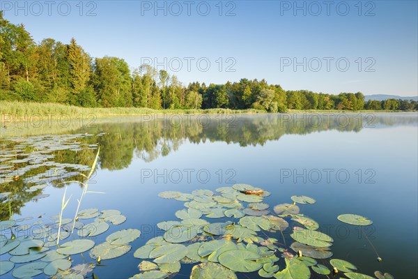 Burgaeschisee