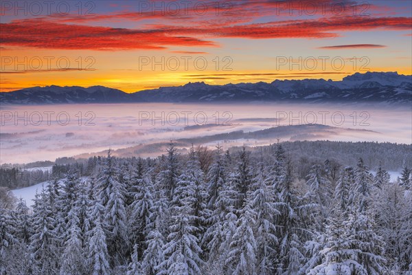 Zurich Oberland with view of Muertschenstock and Glaernisch