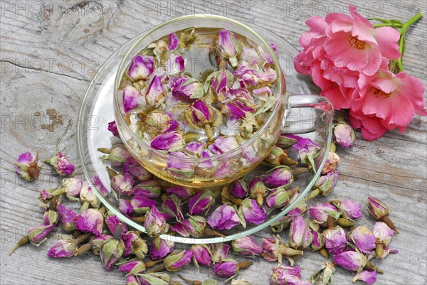 Rose tea in cup and rose buds