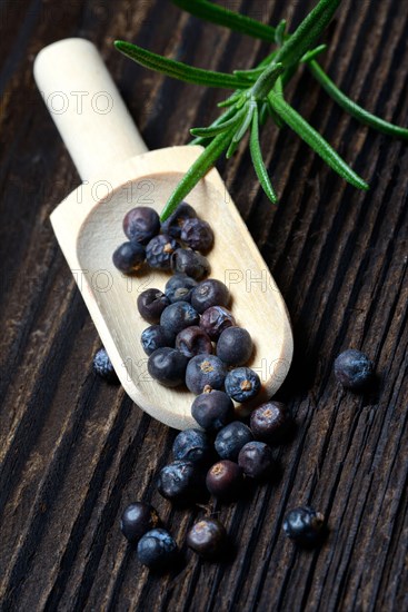 Dried juniper berries