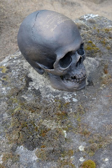 Bronze skull