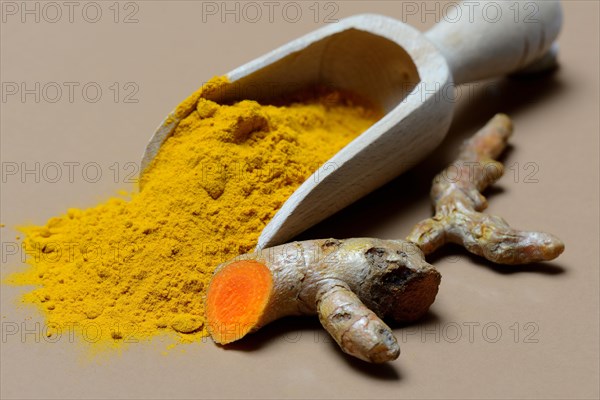 Turmeric-powder in shovel and root