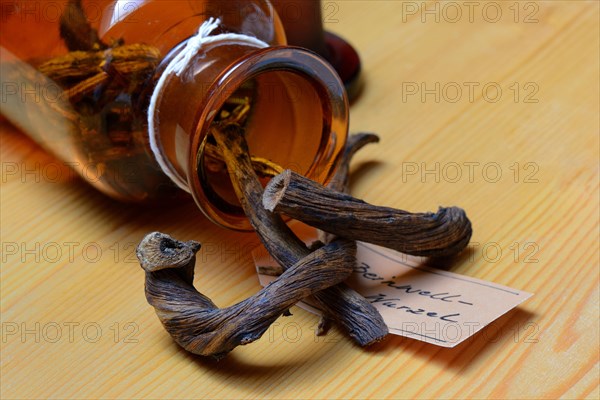 Bottle with dried -roots