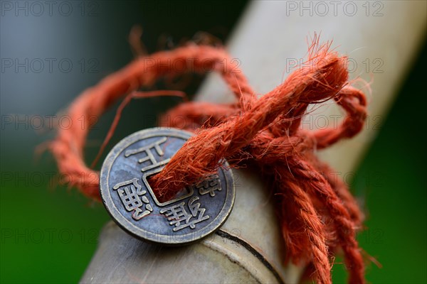 Chinese lucky coins on bamboo