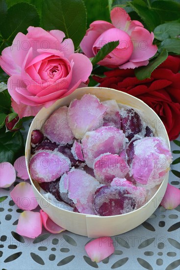 Candied rose petals in box