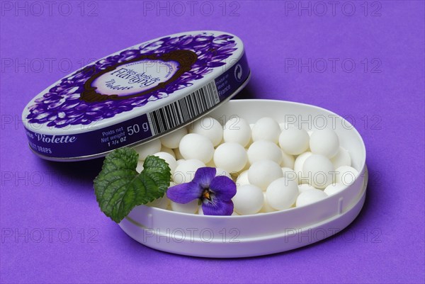 Violet pastilles