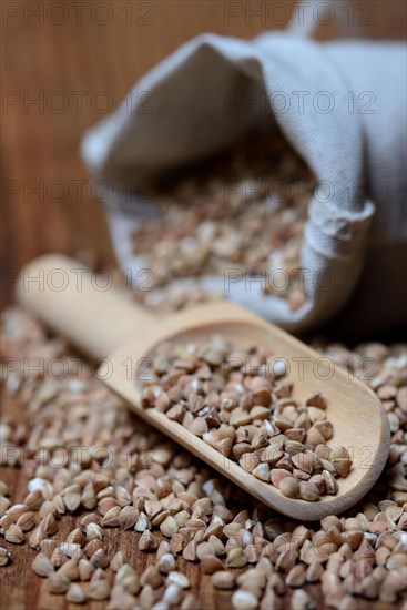 Buckwheat