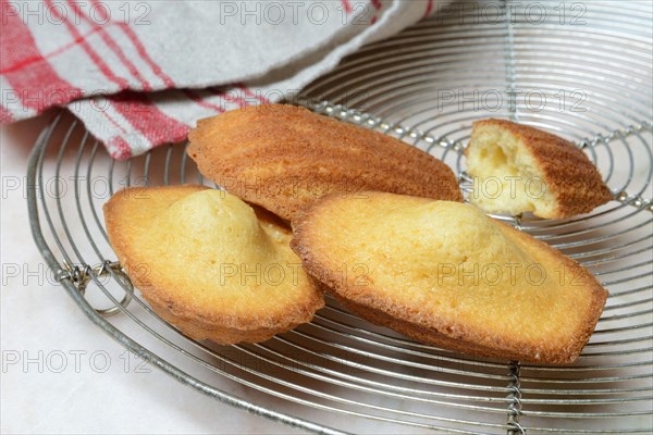 Madeleines on cake grid