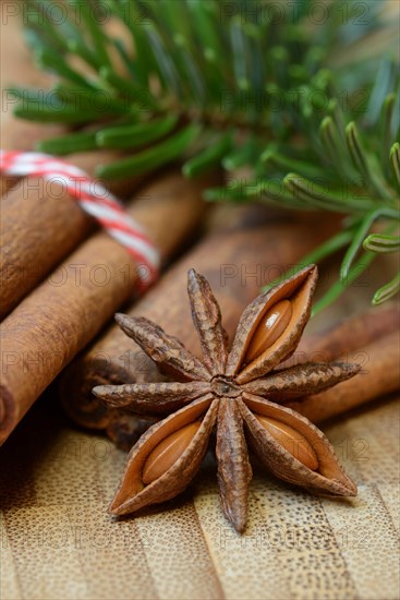 Cinnamonsticks and star anise with Christmas decoration