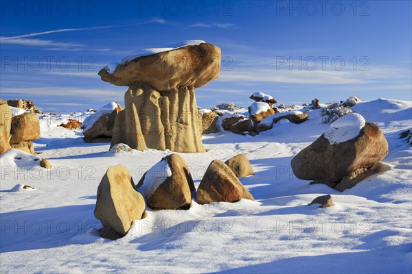 Bisti Badlands