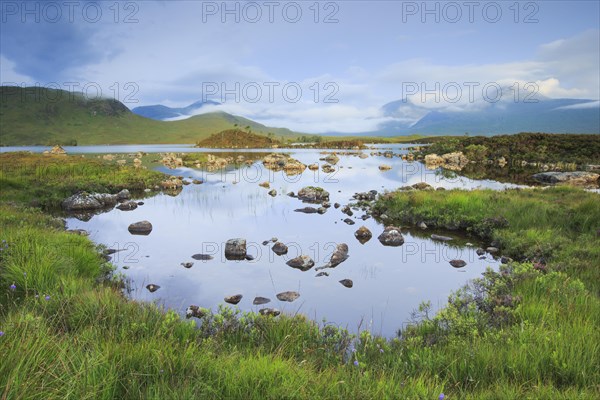 Rannoch Moor