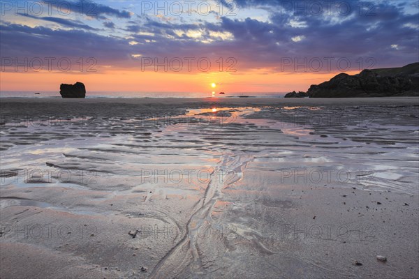 Sandy beach beach on the coast