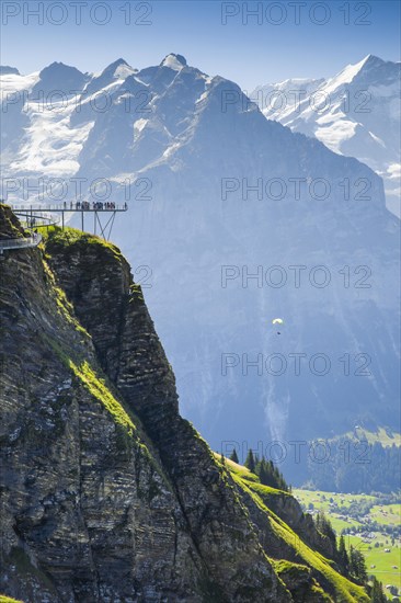 Schreckhorn