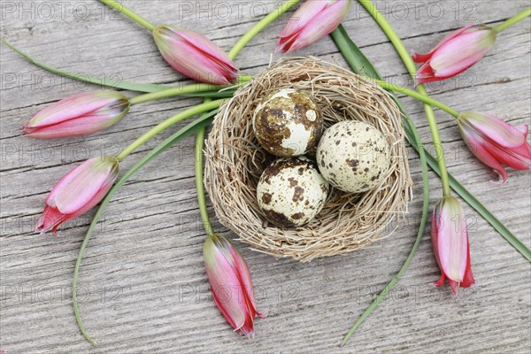 Natural Easter Decoration