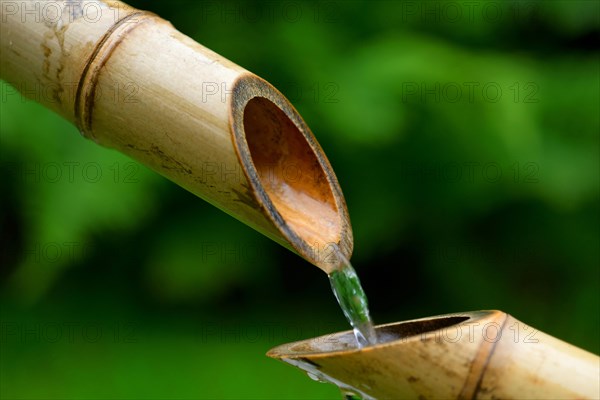 Japanese bamboo fountain