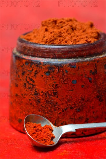 Paprika powder in spoon