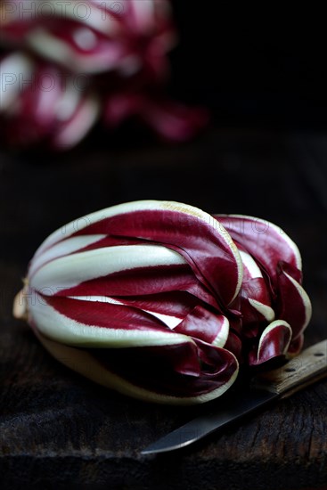 ( Cichorium intybus var. foliosum) Radicchio and kitchen knife, Radicchio Rosso di Treviso, red Chicory