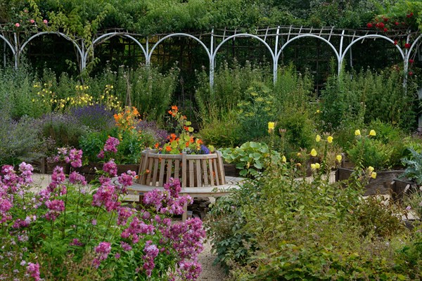 Round bench with nasturtium