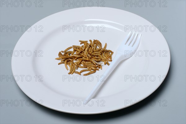 Mealworms on plate with fork