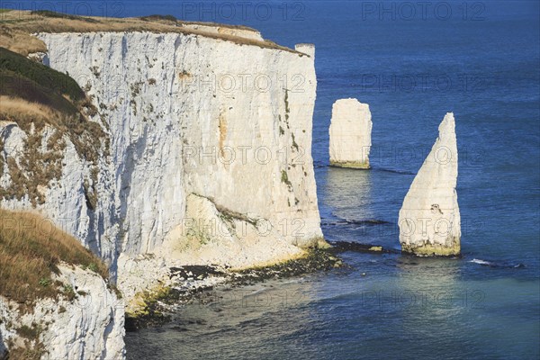 Jurassic Coast