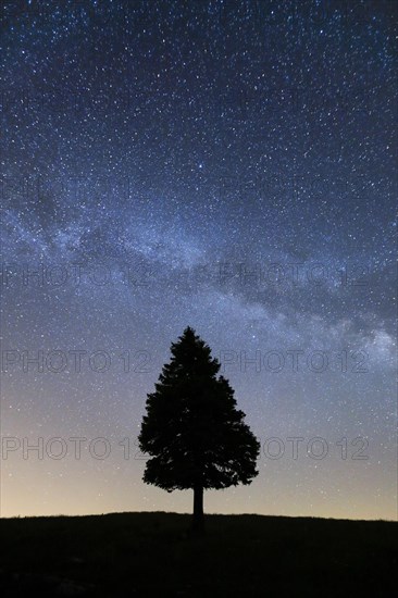 Starry sky with milky way