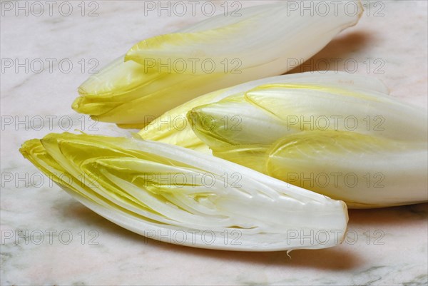 Chicory