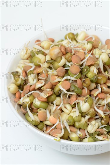 Mixed sprouts of lentils