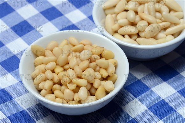 Cedar and pine nuts