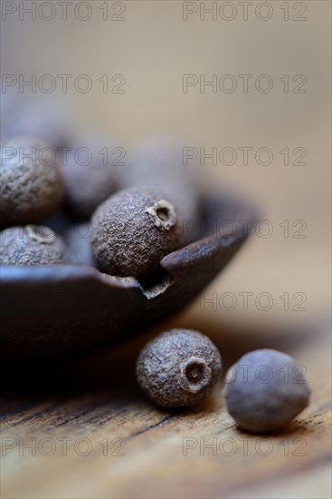 Allspice