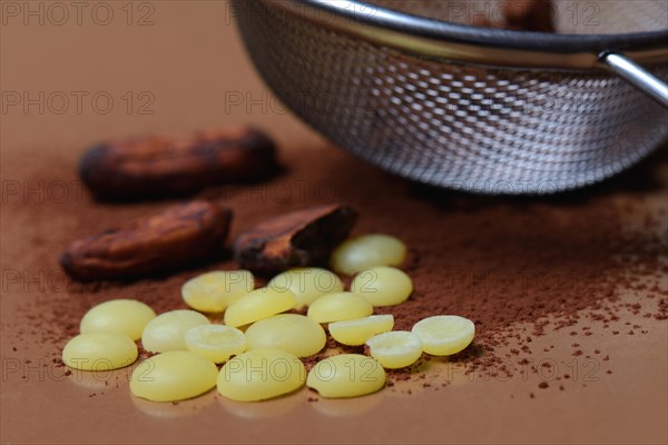 Cocoa powder in sieve and cocoa beans