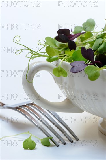 Microgreen