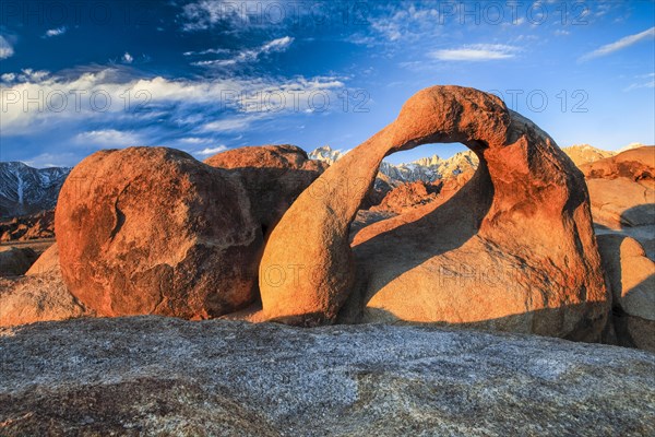 Mobius Arch