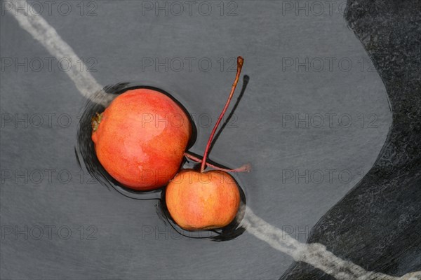 Two decorative apples in water