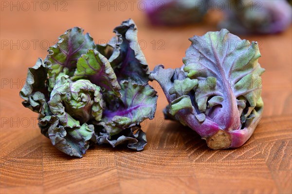 Flower Sprouts